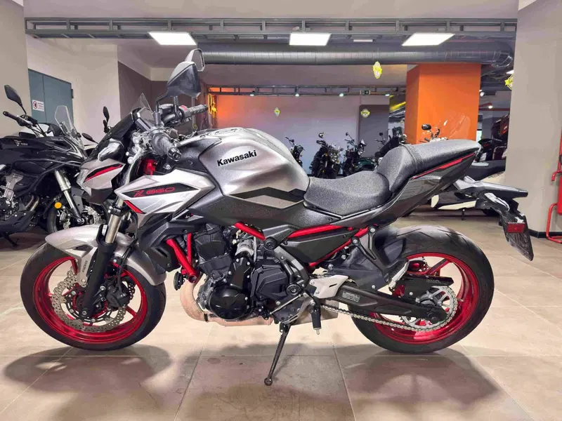 Kawasaki Z 650 (2021 - 24) (4)