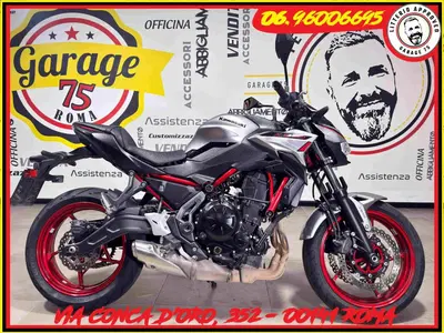 Kawasaki Z 650 (2021 - 24) usata