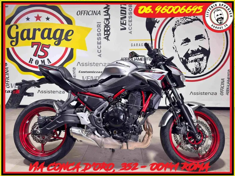 Kawasaki Z 650 (2021 - 24)