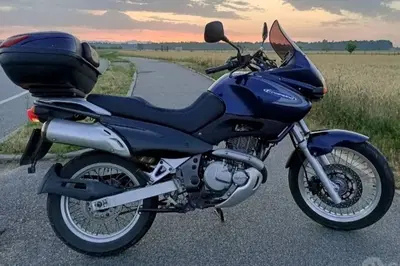 Suzuki XF 650 Freewind (1997 - 03) usata