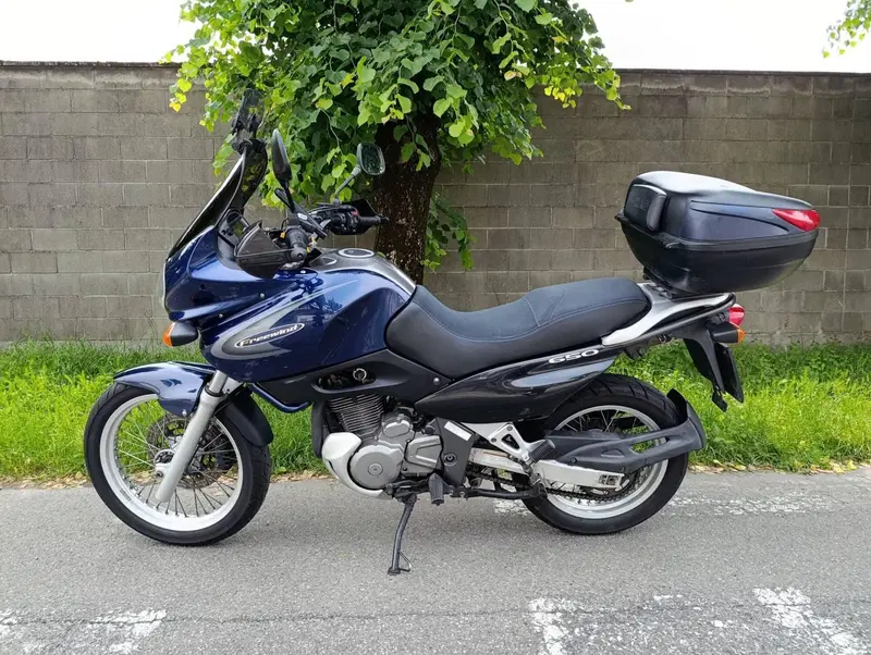 Suzuki XF 650 Freewind (1997 - 03) (2)