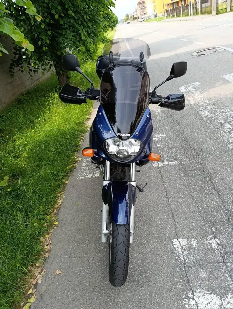 Suzuki XF 650 Freewind (1997 - 03) (3)