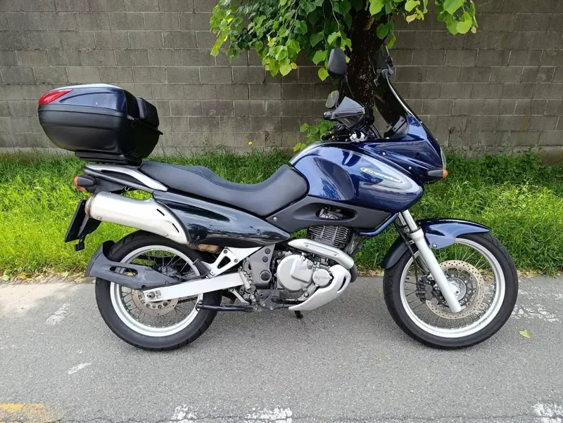 Suzuki XF 650 Freewind (1997 - 03) (4)