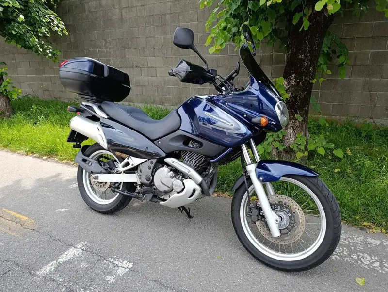 Suzuki XF 650 Freewind (1997 - 03) (5)