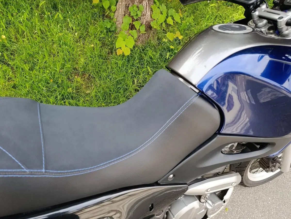 Suzuki XF 650 Freewind (1997 - 03) (6)