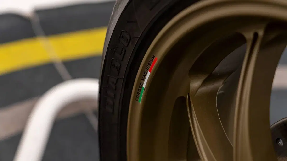 Ducati Panigale V4 1100 25° Anniversario (2019 - 20) (16)