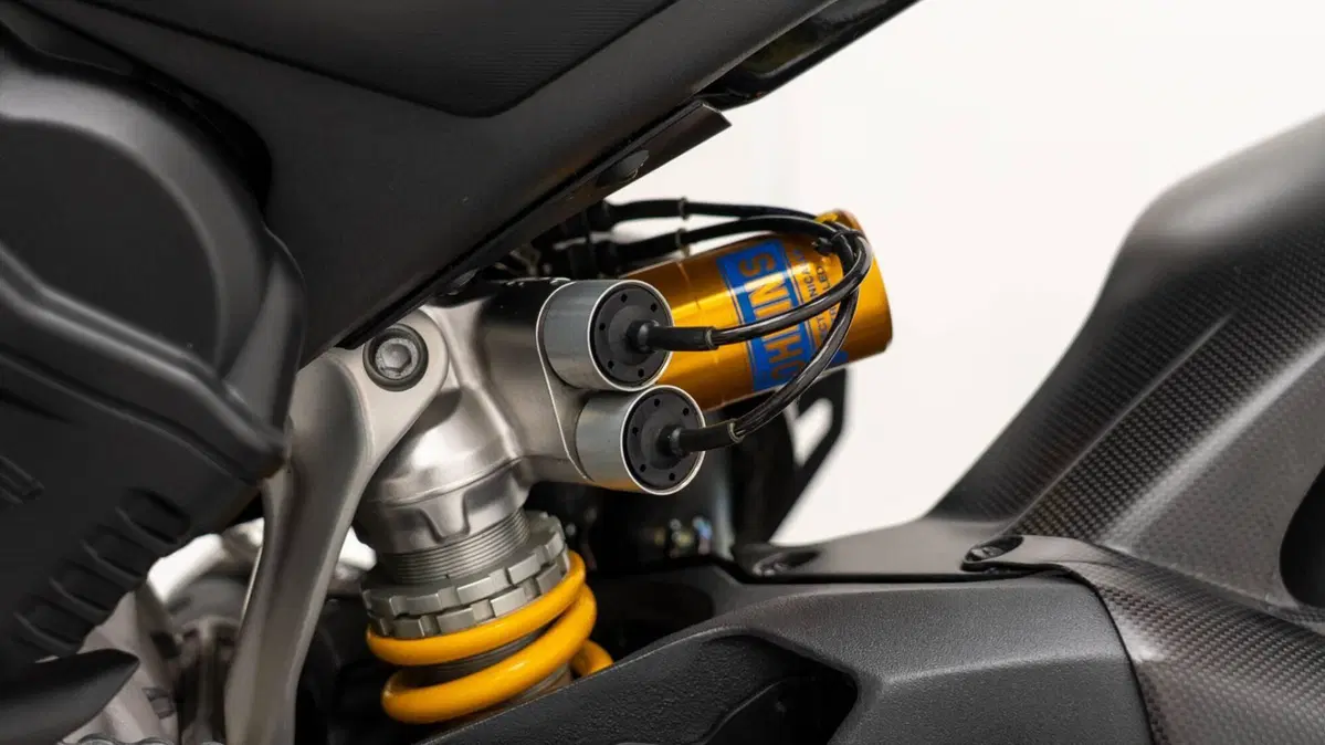 Ducati Panigale V4 1100 25° Anniversario (2019 - 20) (19)