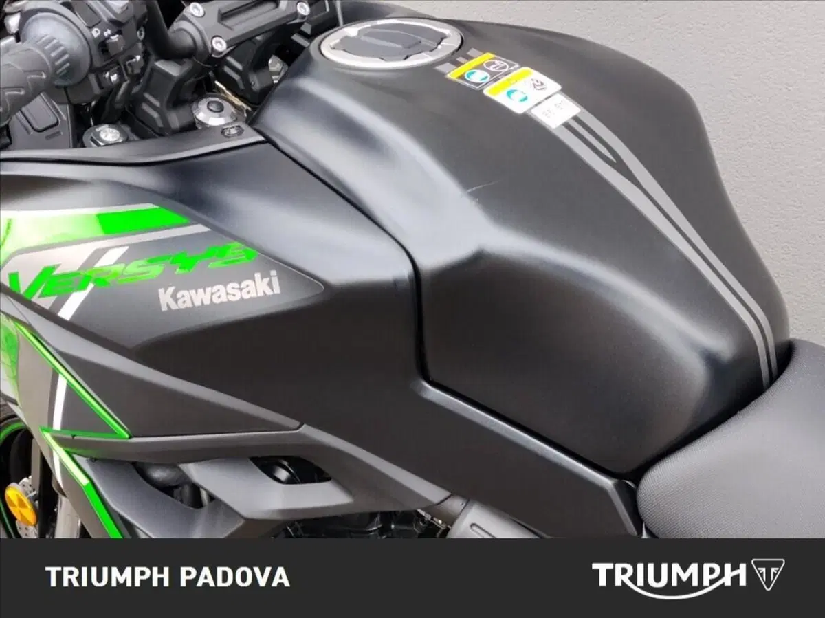 Kawasaki Versys 650 (2021 - 24) (9)