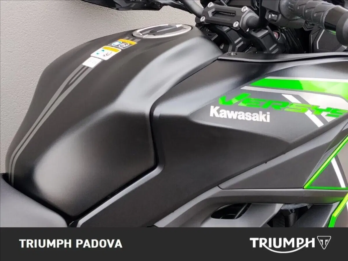 Kawasaki Versys 650 (2021 - 24) (4)