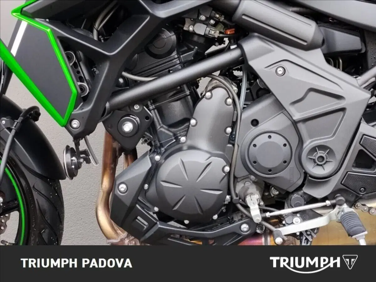 Kawasaki Versys 650 (2021 - 24) (8)