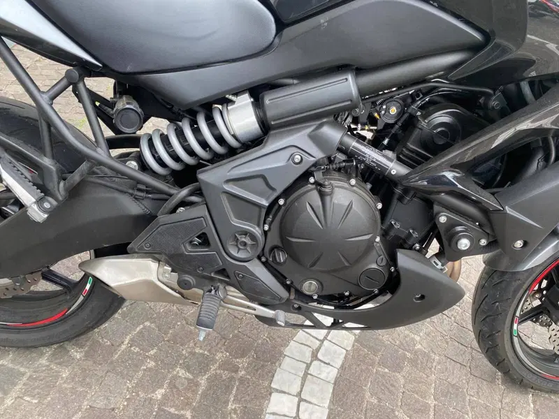 Kawasaki Versys 650 (2021 - 24) (5)