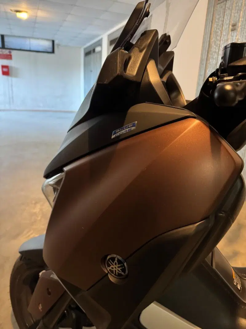 Yamaha X-Max 300 ABS (2017 - 20) (7)
