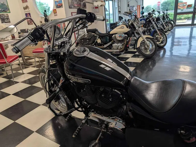 Harley-Davidson 1200 Custom (2004 - 06) - XL 1200C (8)