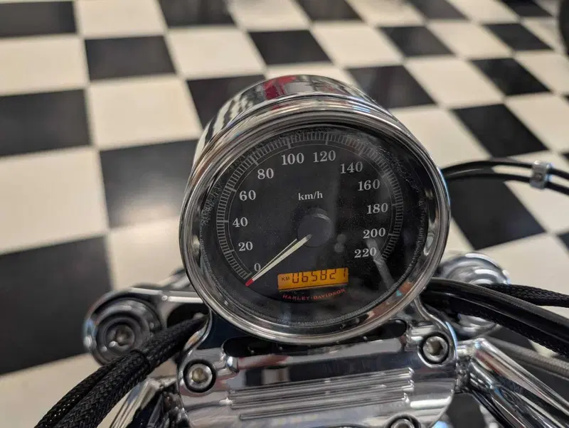Harley-Davidson 1200 Custom (2004 - 06) - XL 1200C (11)