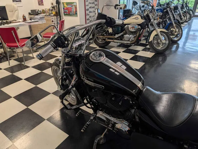 Harley-Davidson 1200 Custom (2004 - 06) - XL 1200C (12)