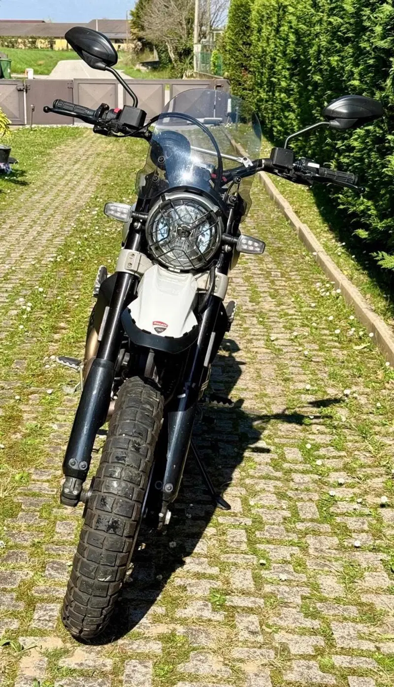 Ducati Scrambler 800 Desert Sled (2017 - 20) (3)