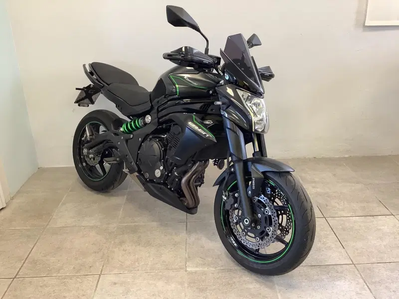 Kawasaki ER-6N ABS (2012 - 16) (2)