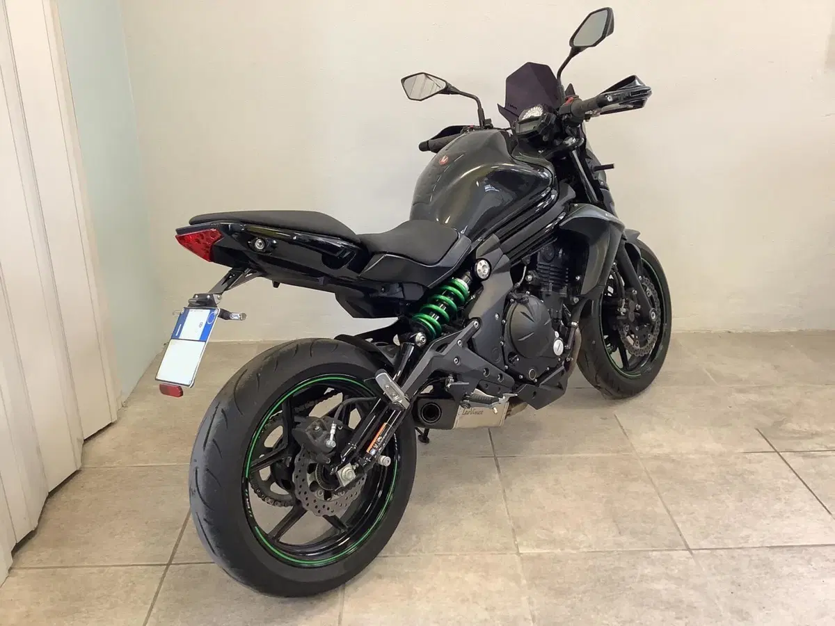 Kawasaki ER-6N ABS (2012 - 16) (6)