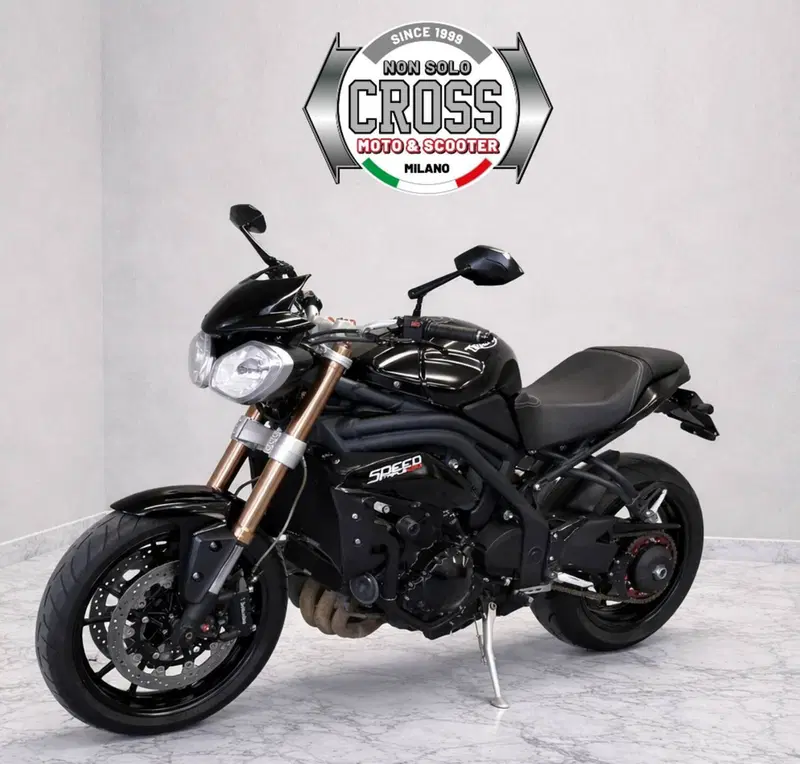 Triumph Speed Triple 1050 (2011 - 13) (3)