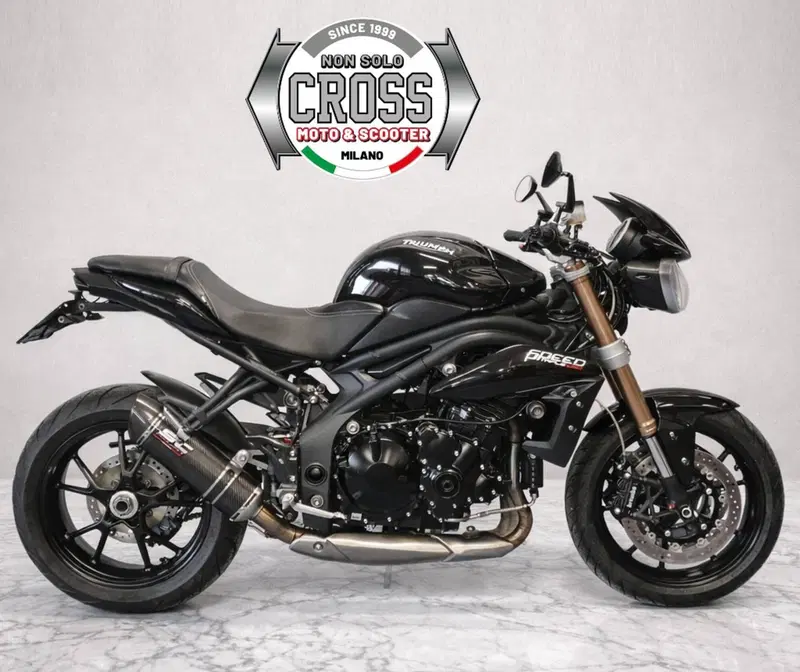Triumph Speed Triple 1050 (2011 - 13) (4)