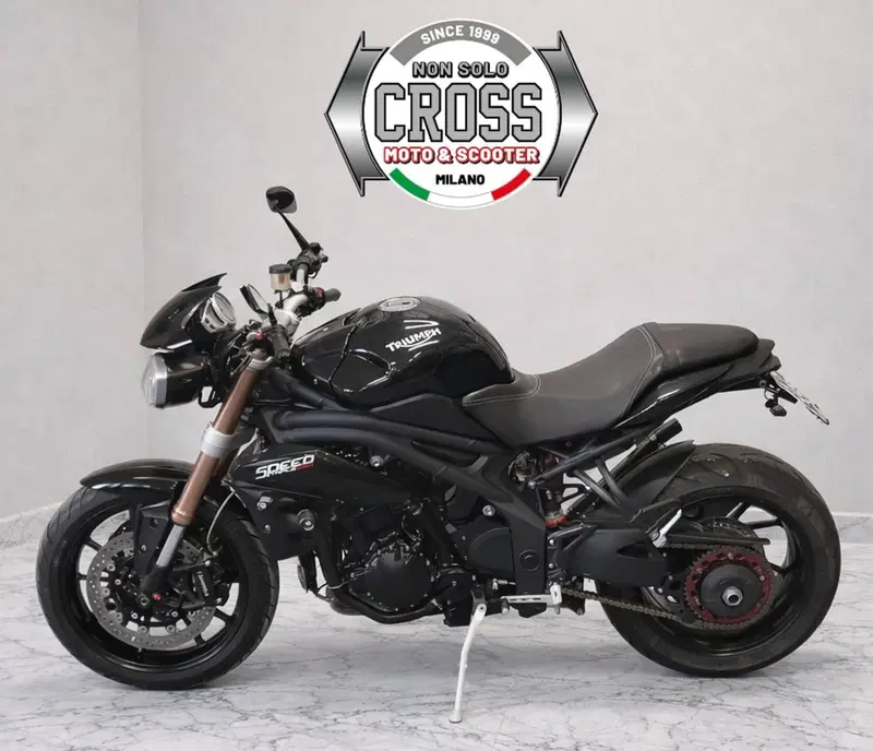 Triumph Speed Triple 1050 (2011 - 13) (5)