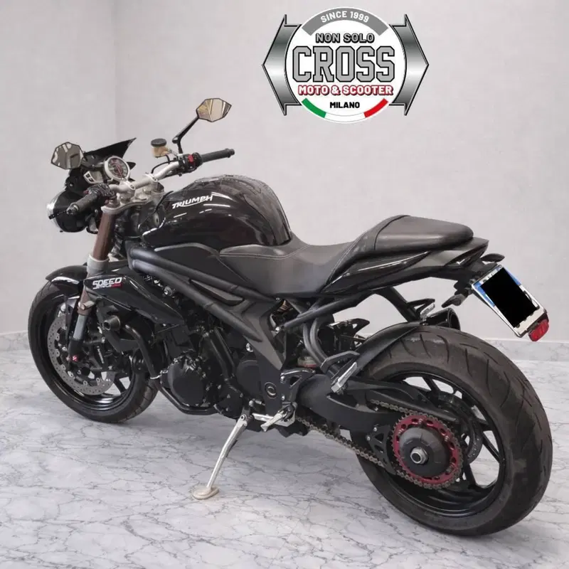 Triumph Speed Triple 1050 (2011 - 13) (8)