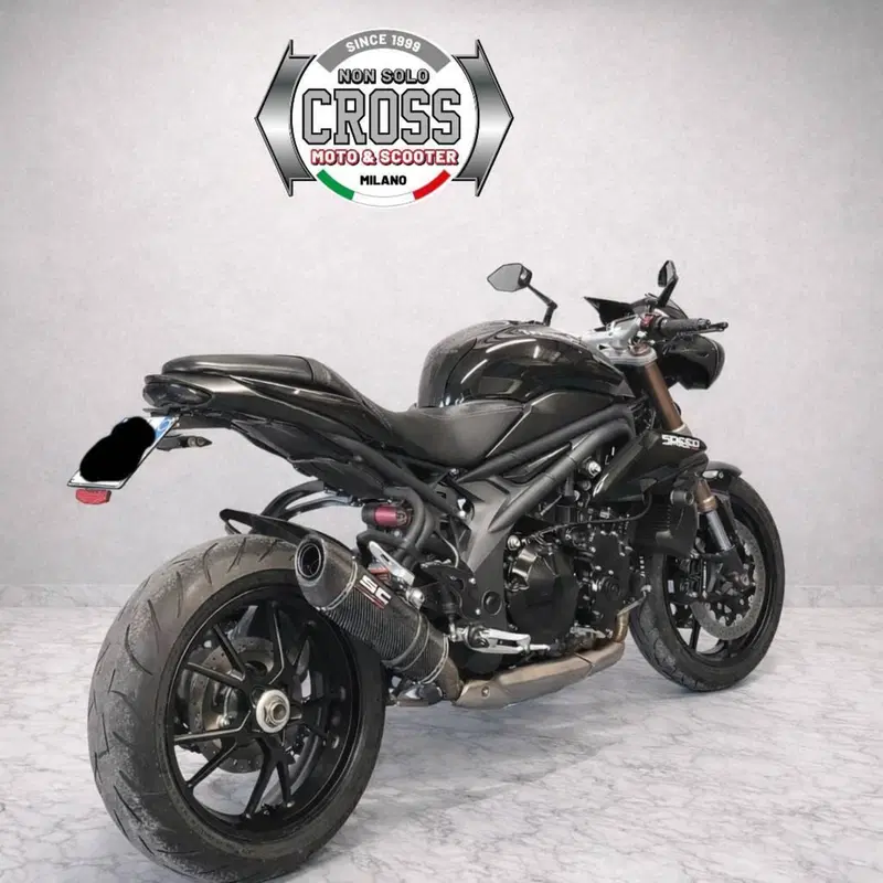 Triumph Speed Triple 1050 (2011 - 13) (9)