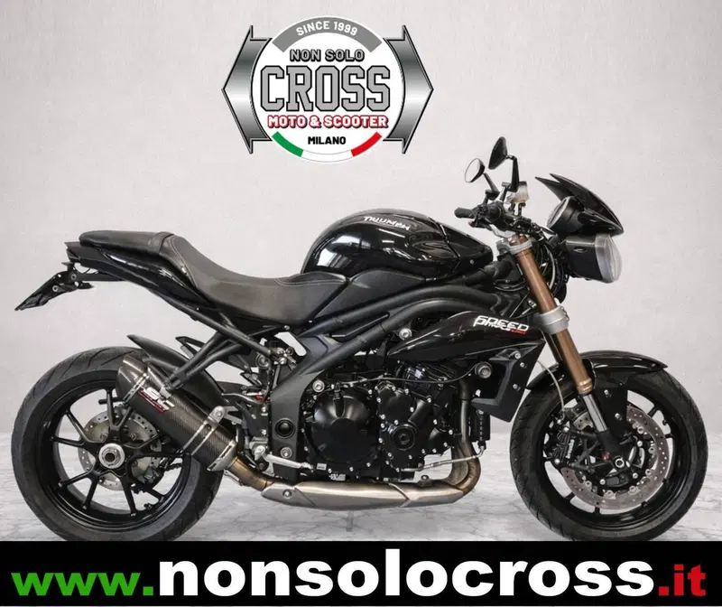 Triumph Speed Triple 1050 (2011 - 13)