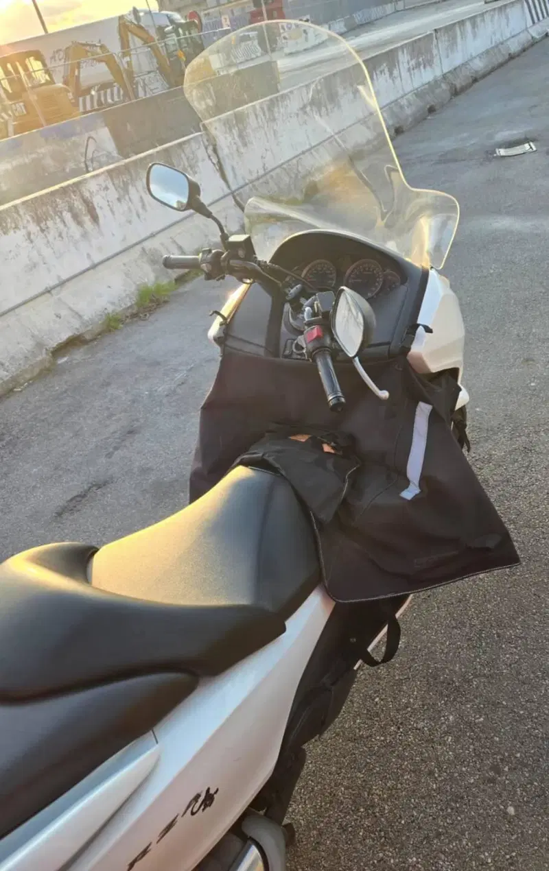 Honda Forza 300 ABS (2013 - 17) (4)
