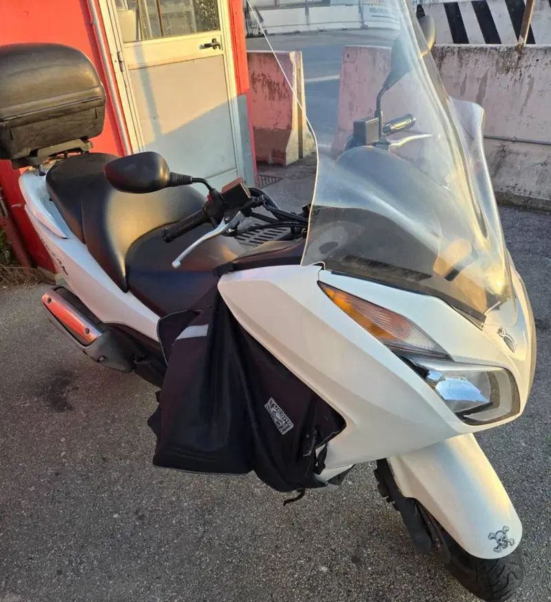 Honda Forza 300 ABS (2013 - 17) (6)