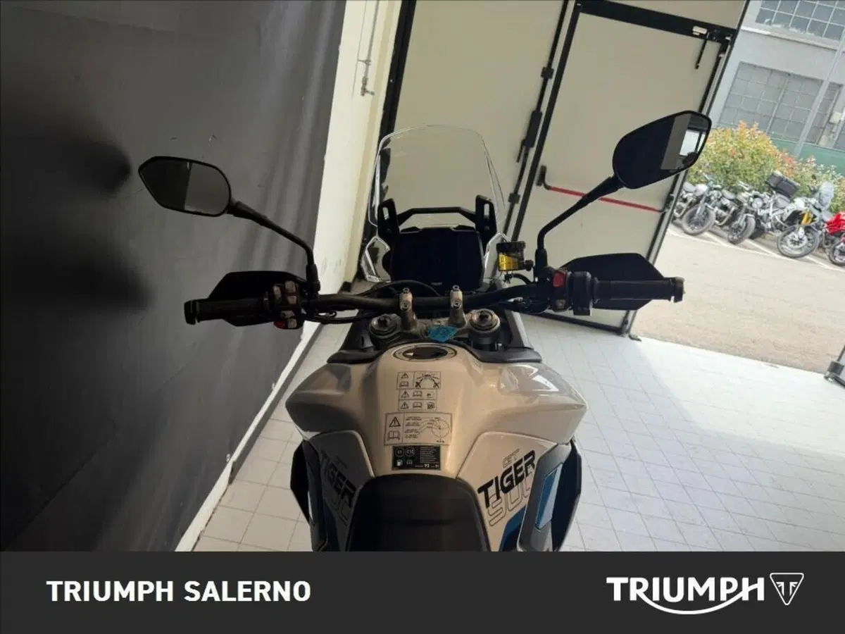 Triumph Tiger 900 Alpine Special Edition (2026) (6)