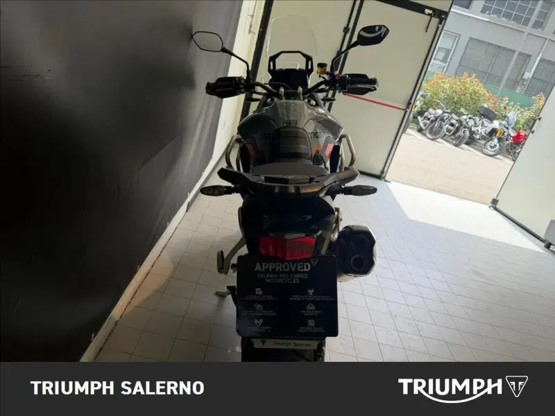 Triumph Tiger 900 Desert Special Edition (2026) (3)