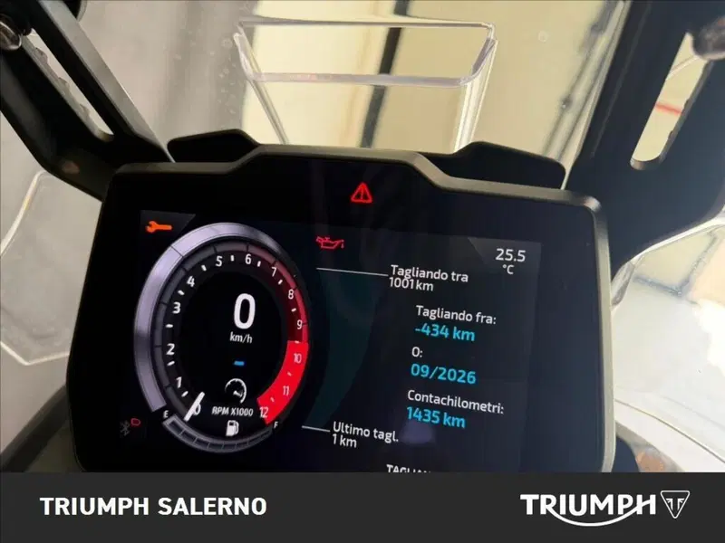 Triumph Tiger 900 Desert Special Edition (2026) (8)