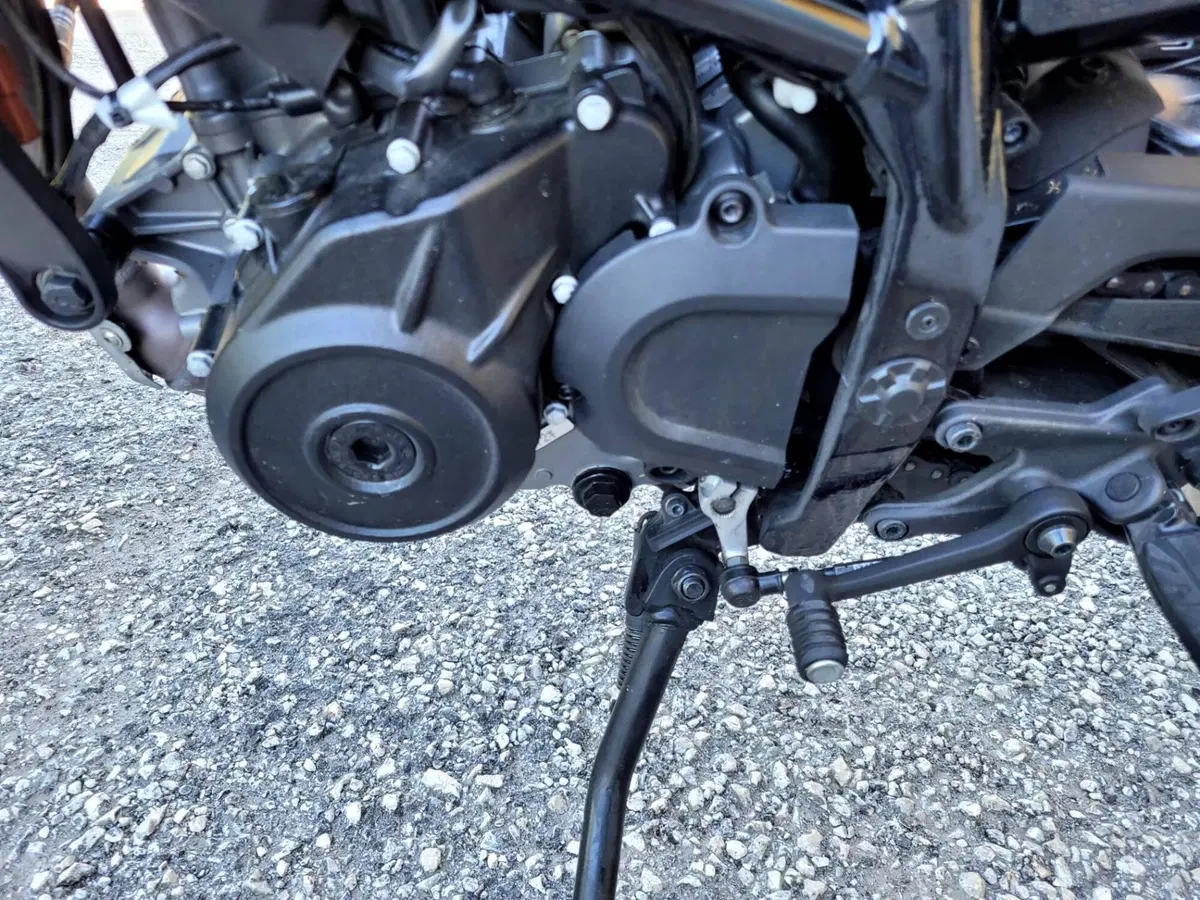 KTM 125 Duke (2024 - 25) (5)