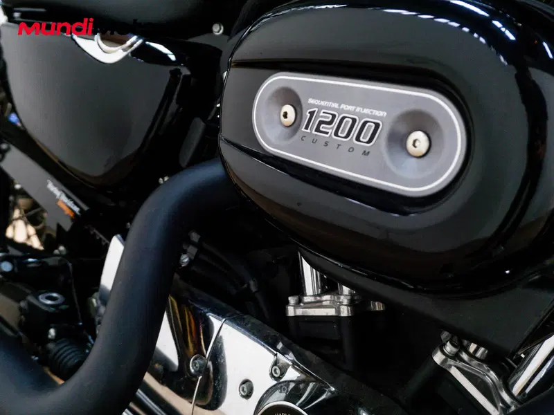 Harley-Davidson XL 1200 CX Roadster (2016 - 18) (14)