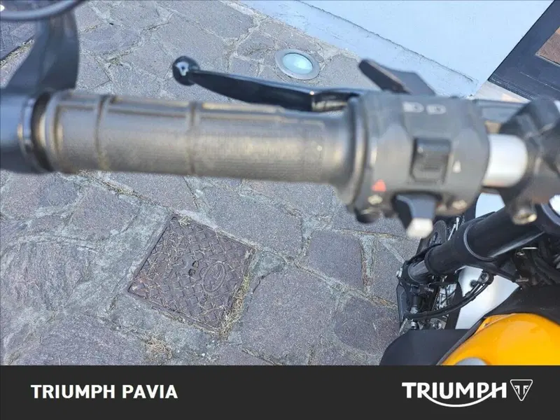 Ducati Scrambler 800 Classic (2015 - 16) (21)