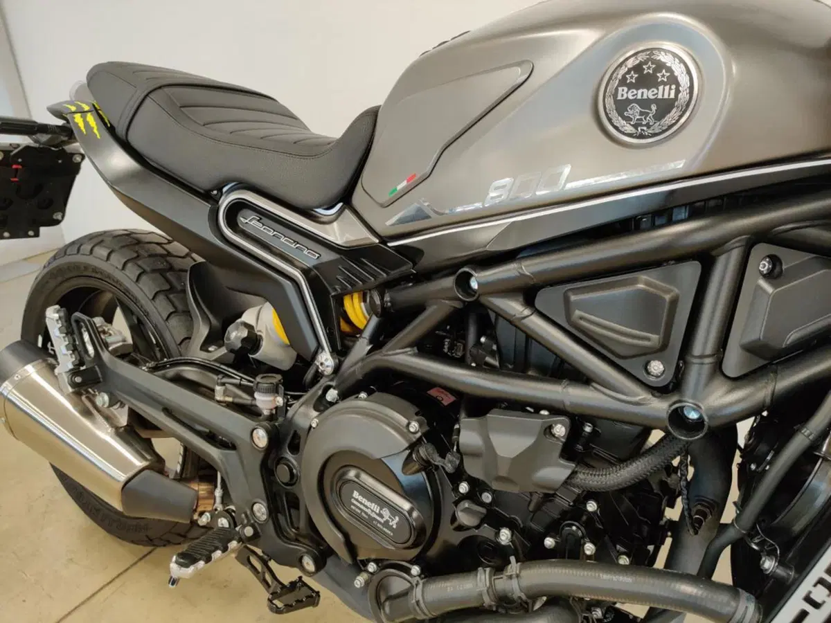Benelli Leoncino 800 (2022 - 26) (5)