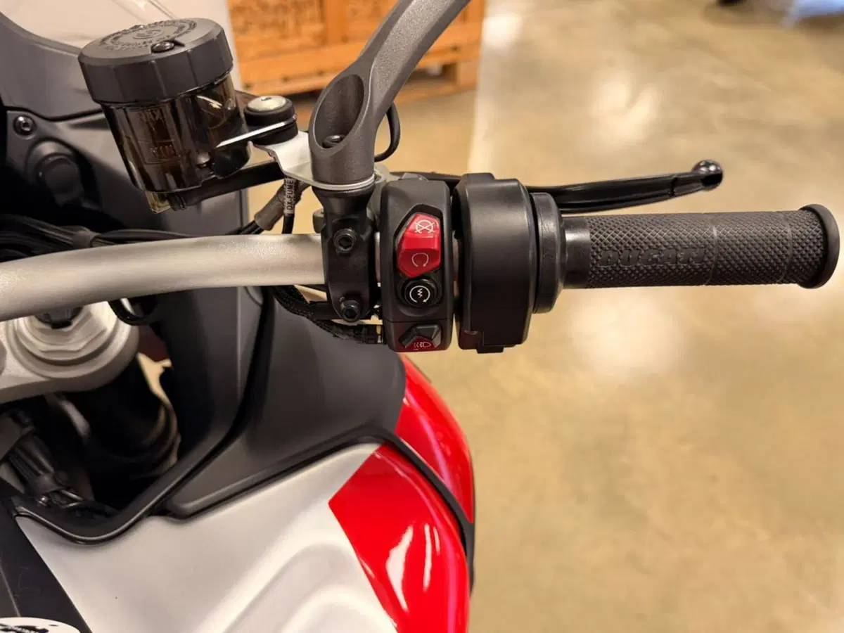 Ducati Multistrada V4 Rally (2023 - 25) (14)