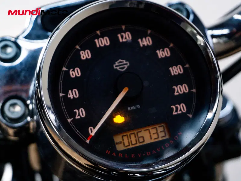 Harley-Davidson XL 1200 CX Roadster (2016 - 18) (10)