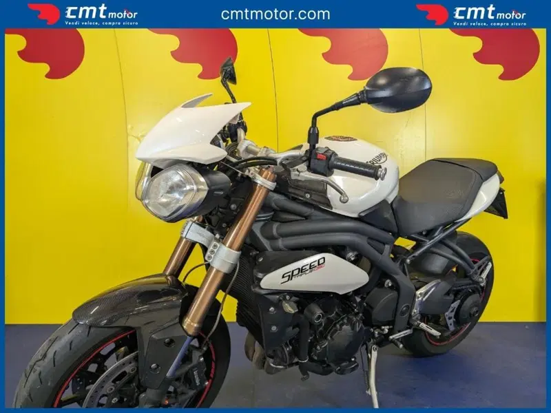 Triumph Speed Triple 1050 (2011 - 13) (2)
