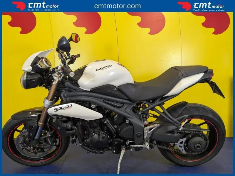 Triumph Speed Triple 1050 (2011 - 13) (3)