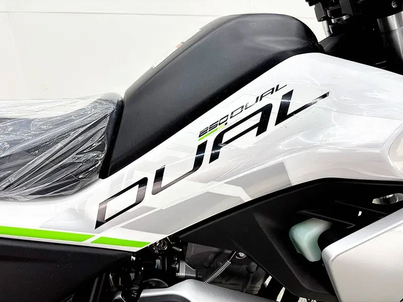 CFMOTO CFLite 250 Dual (2026) (11)