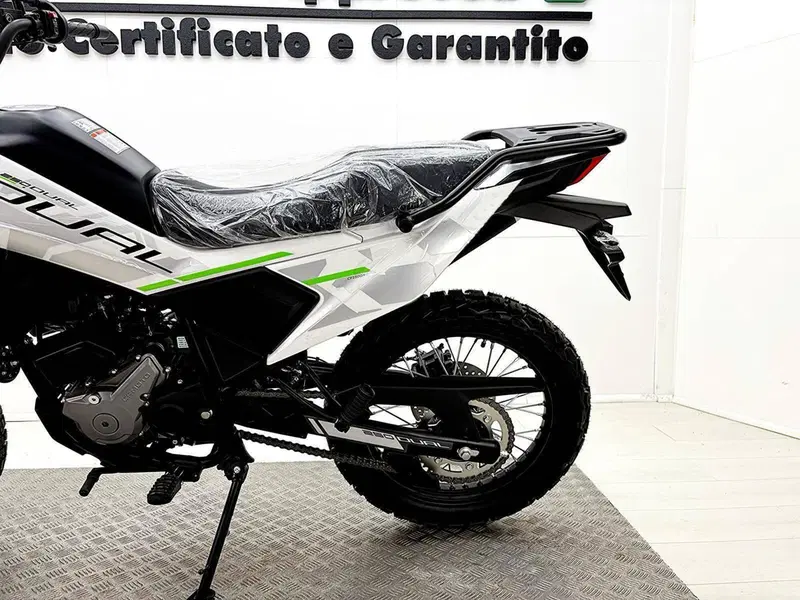 CFMOTO CFLite 250 Dual (2026) (18)