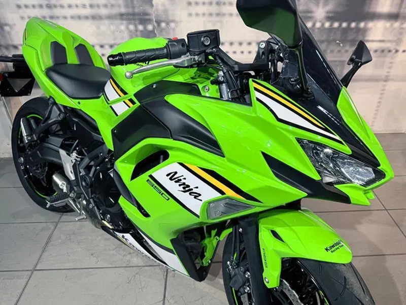 Kawasaki Ninja 650 Sport (2025 - 26) (3)