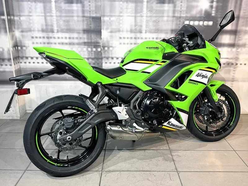 Kawasaki Ninja 650 Sport (2025 - 26) (5)