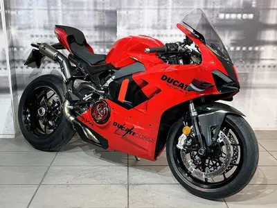 Ducati Panigale V4 (2022 - 24) usata