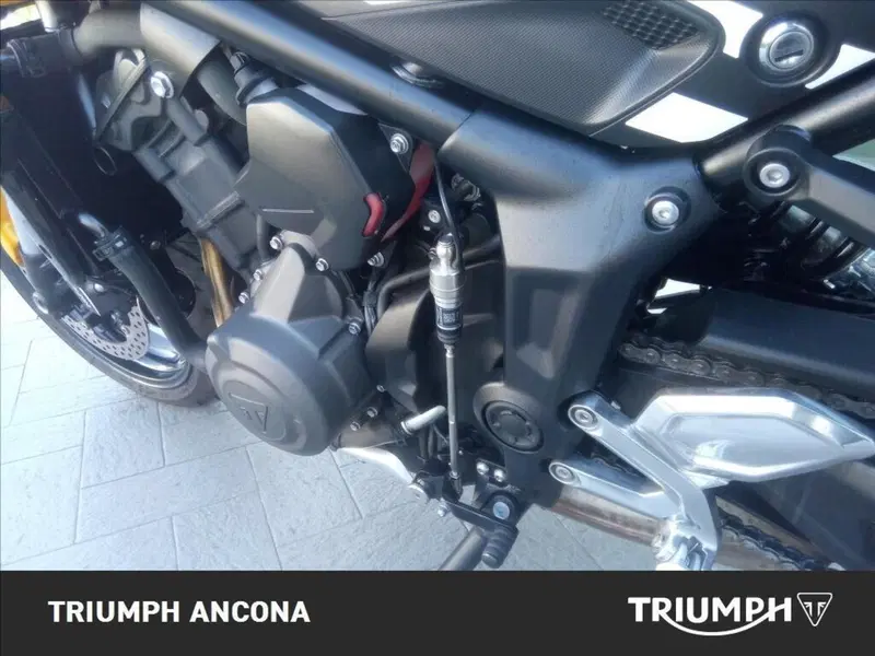 Triumph Trident 660 (2025) (6)