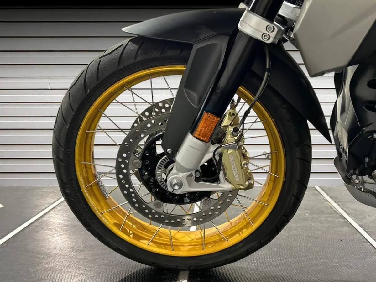 Bmw R 1250 GS (2021 - 24) (14)