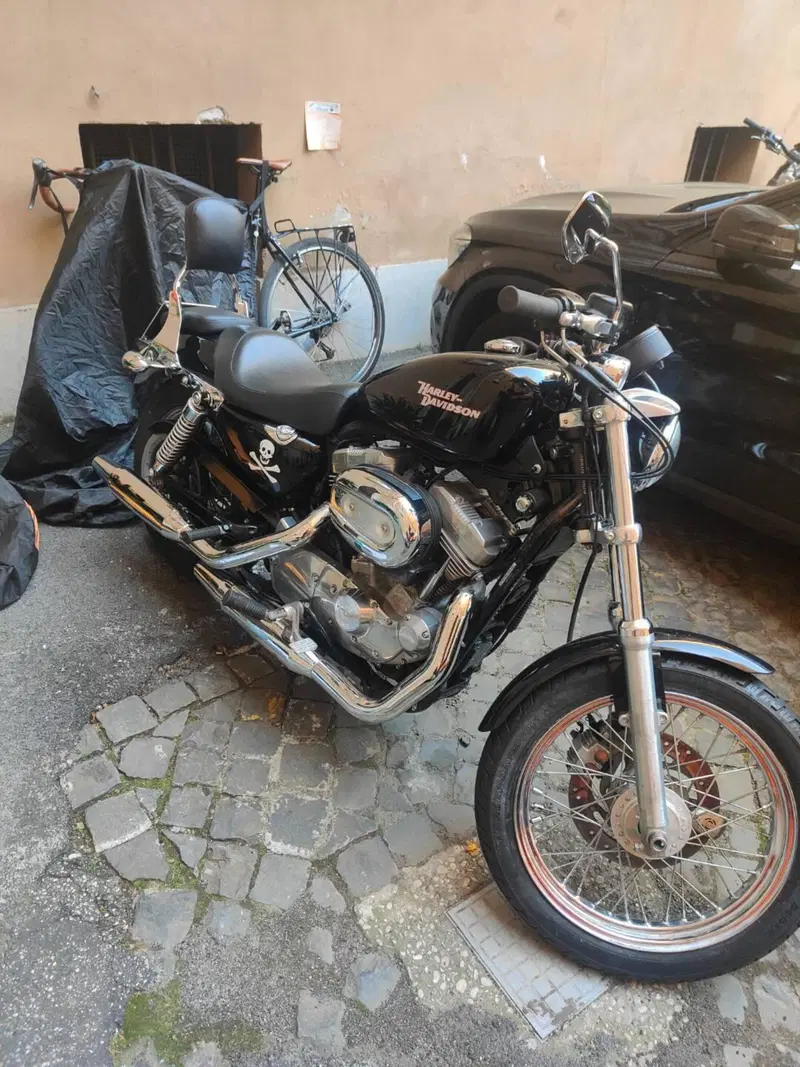 Harley-Davidson 883 (2008 - 09) - XL (2)
