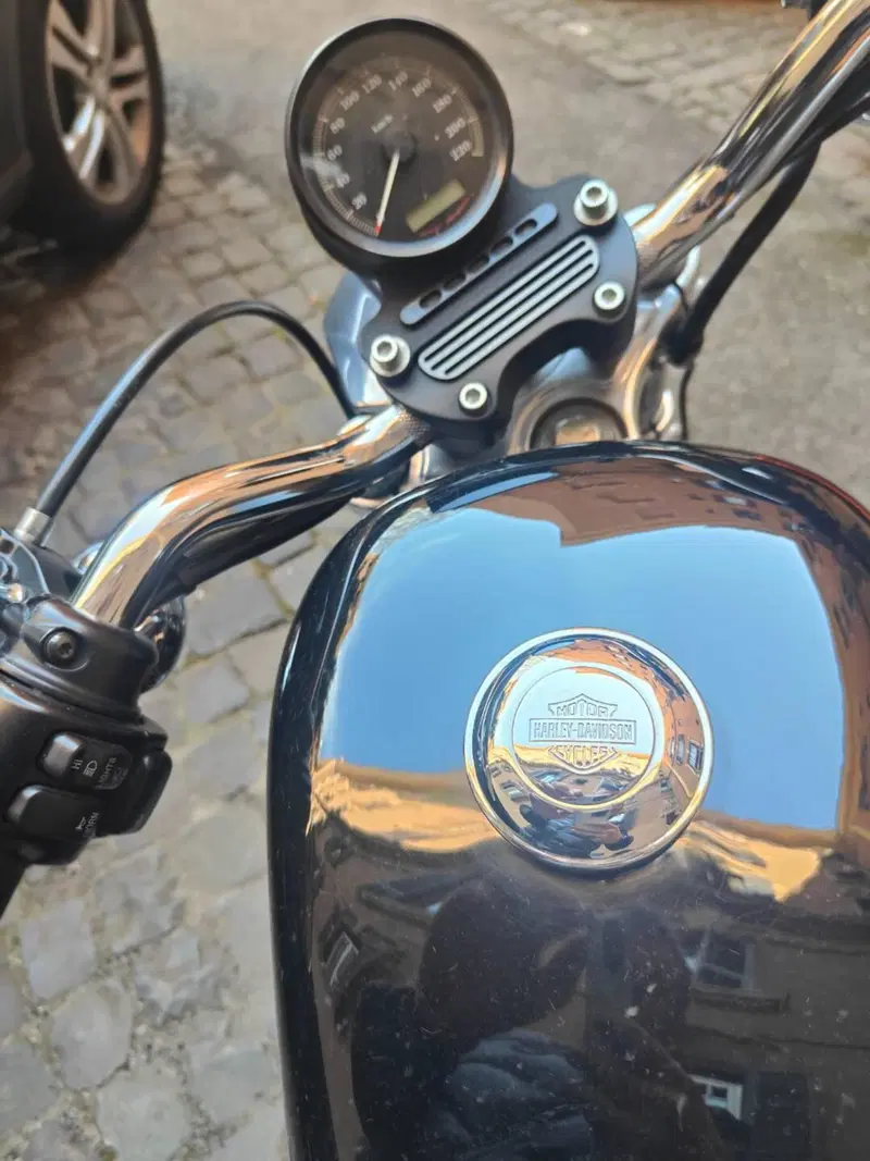 Harley-Davidson 883 (2008 - 09) - XL (3)